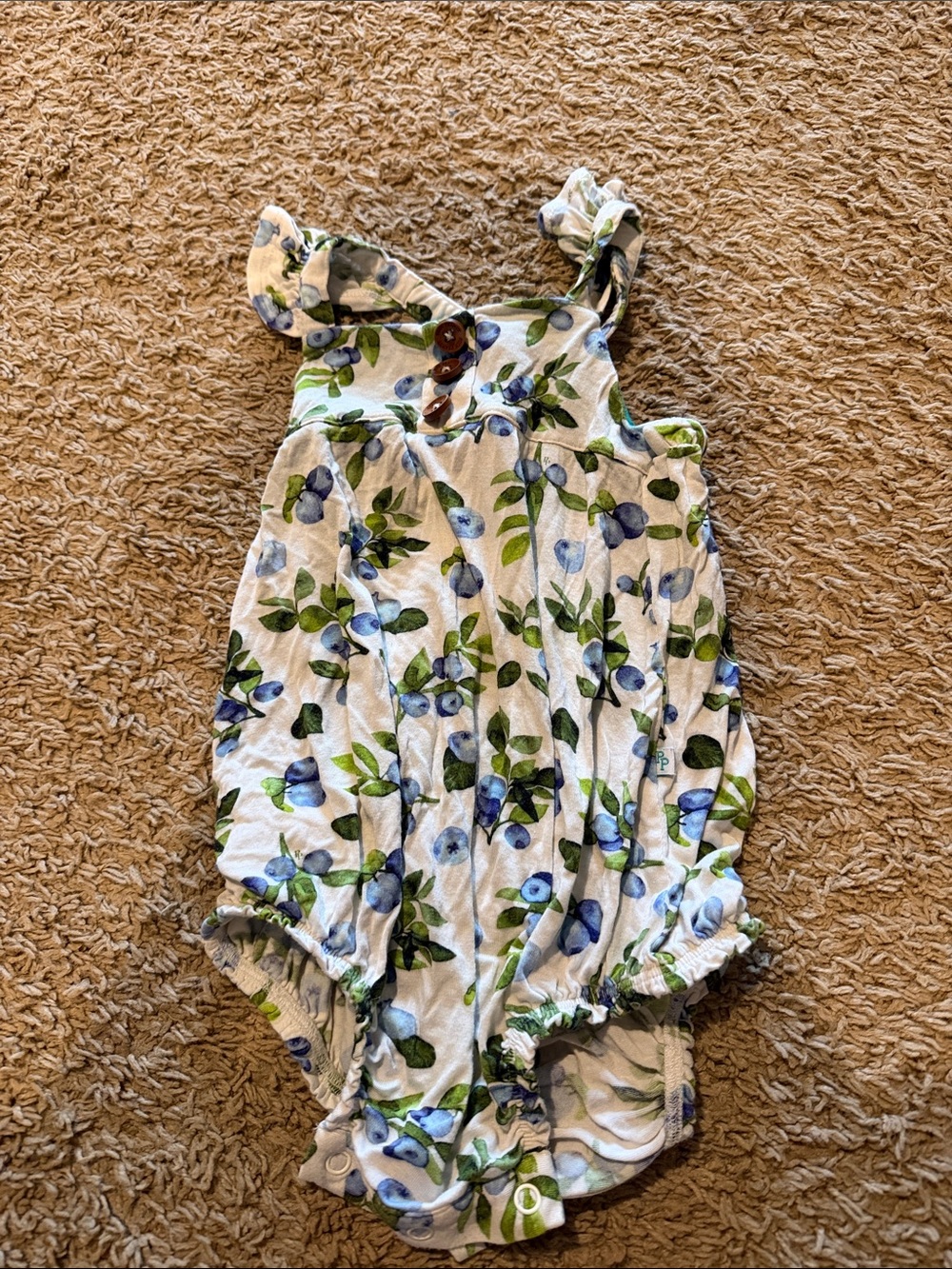 Posh Peanut Carolina blueberry bubble Romper